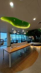 woods-square photo thumbnail #10